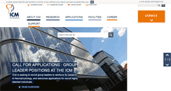 Desktop Screenshot of icm-institute.org