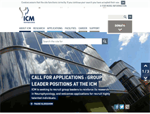 Tablet Screenshot of icm-institute.org